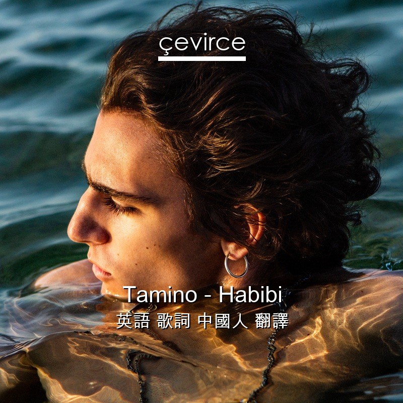 Tamino – Habibi 英語 歌詞 中國人 翻譯