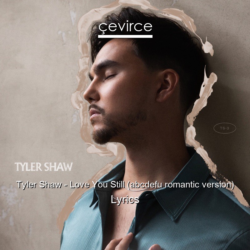 Tyler Shaw – Love You Still (abcdefu romantic version) Lyrics