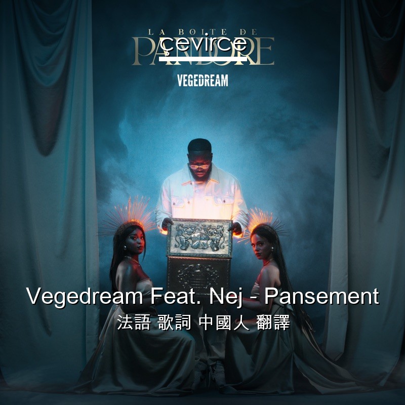 Vegedream Feat. Nej – Pansement 法語 歌詞 中國人 翻譯