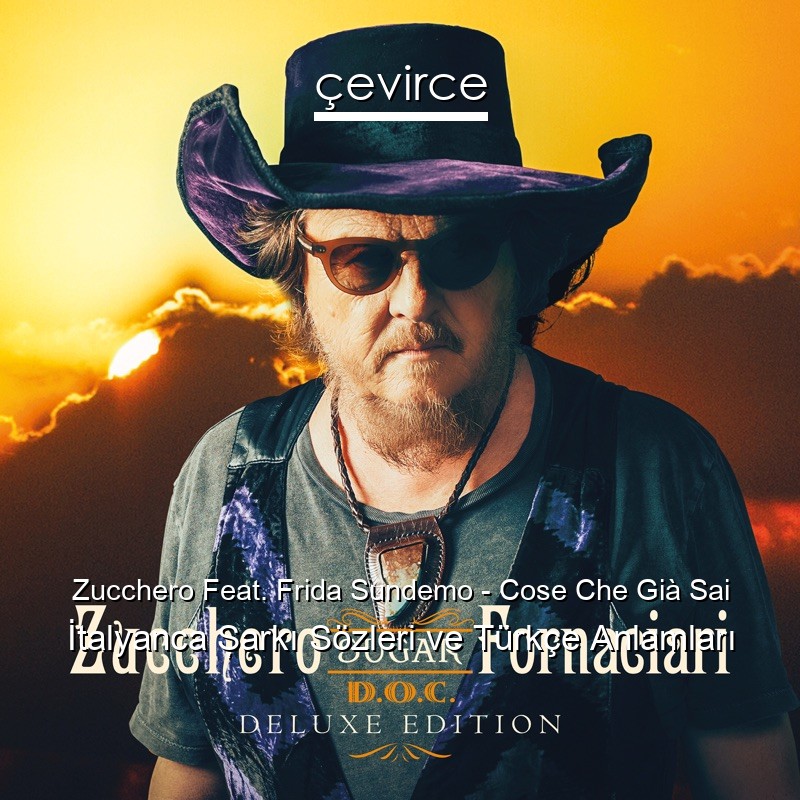 Zucchero Feat. Frida Sundemo – Cose Che Già Sai İtalyanca Şarkı Sözleri Türkçe Anlamları