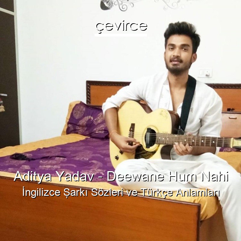 Aditya Yadav – Deewane Hum Nahi  Şarkı Sözleri Türkçe Anlamları