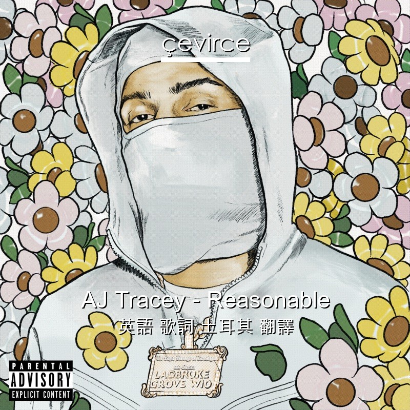 AJ Tracey – Reasonable 英語 歌詞 土耳其 翻譯