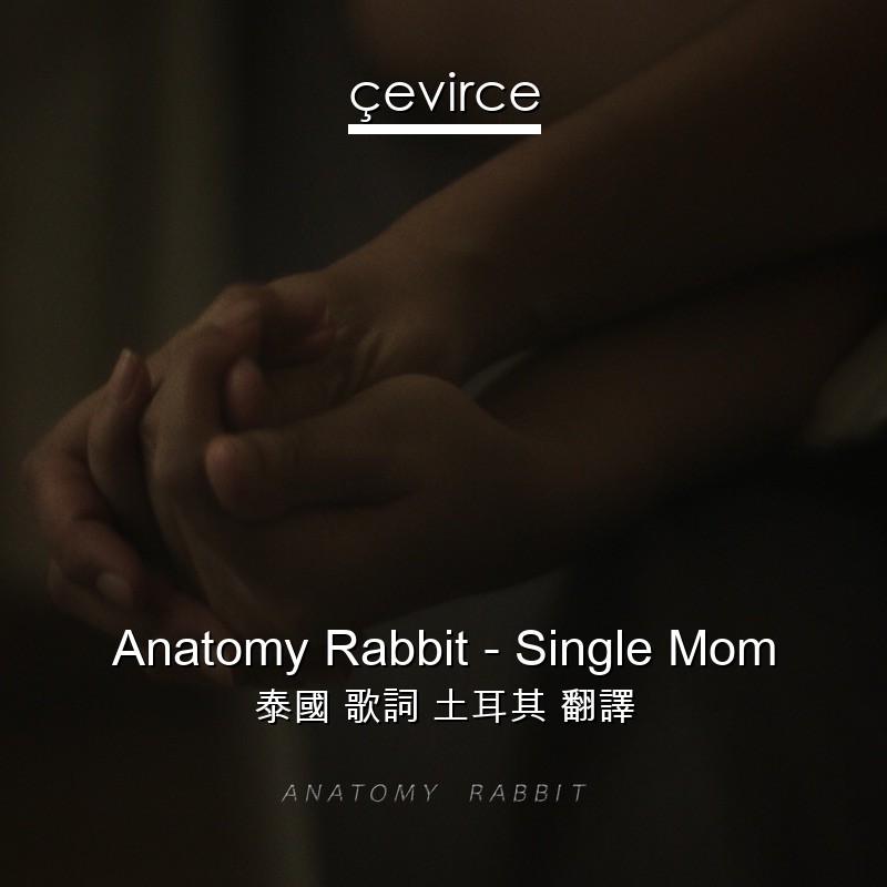 Anatomy Rabbit – Single Mom 泰國 歌詞 土耳其 翻譯