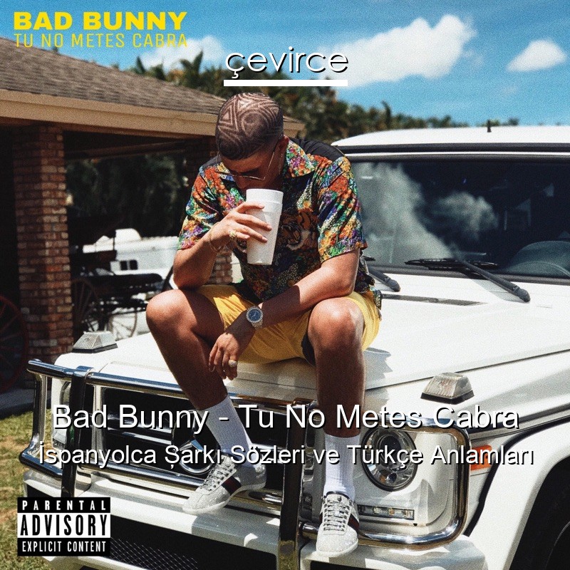 Bad Bunny – Tu No Metes Cabra İspanyolca Şarkı Sözleri Türkçe Anlamları