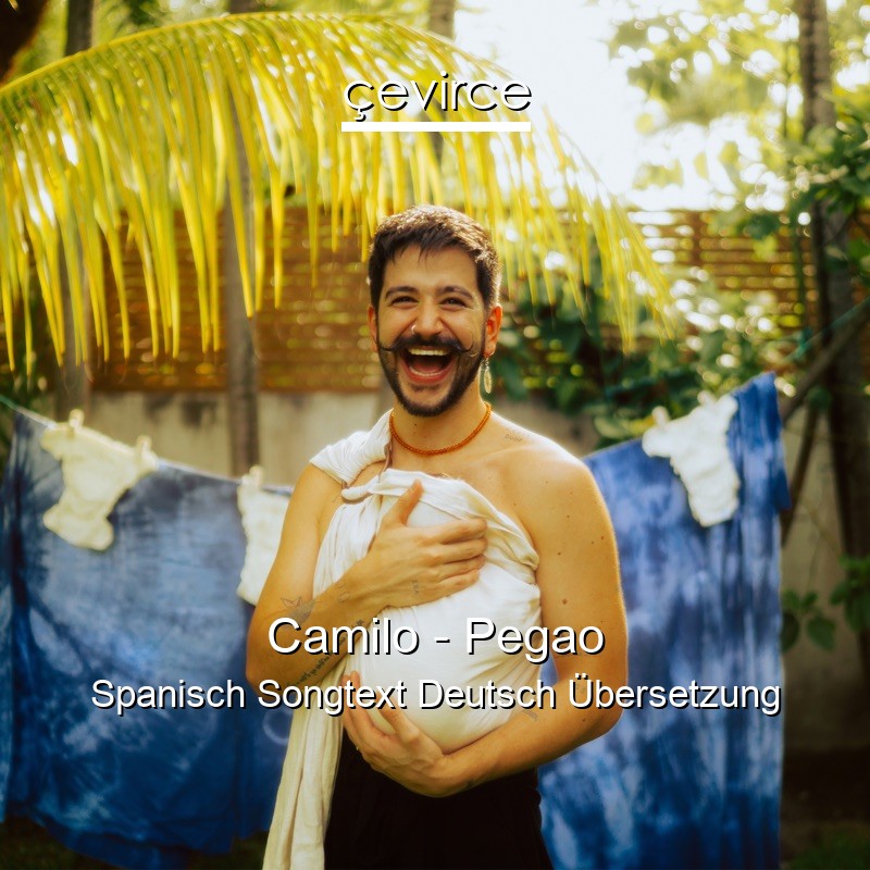 Camilo – Pegao Spanisch Songtext Deutsch Übersetzung