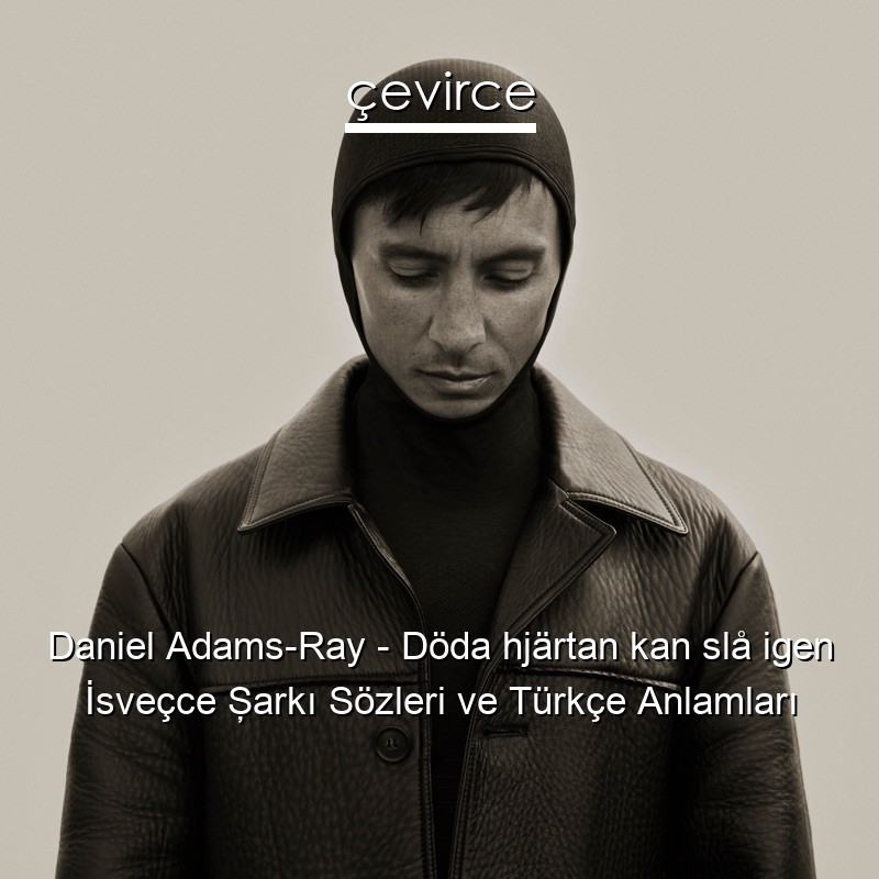 Daniel Adams-Ray – Döda hjärtan kan slå igen İsveçce Şarkı Sözleri Türkçe Anlamları