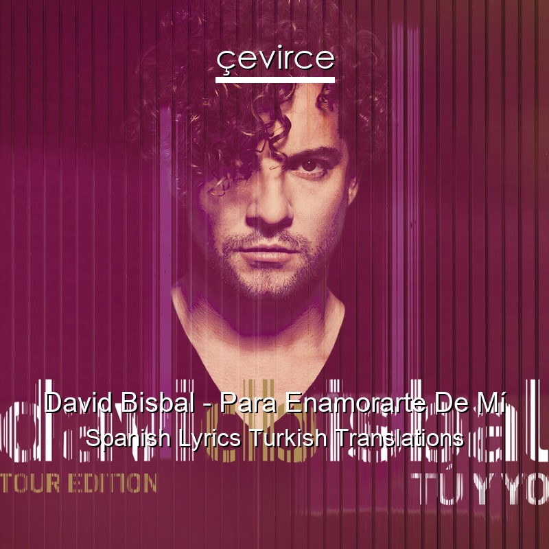 David Bisbal – Para Enamorarte De Mí Spanish Lyrics Turkish Translations