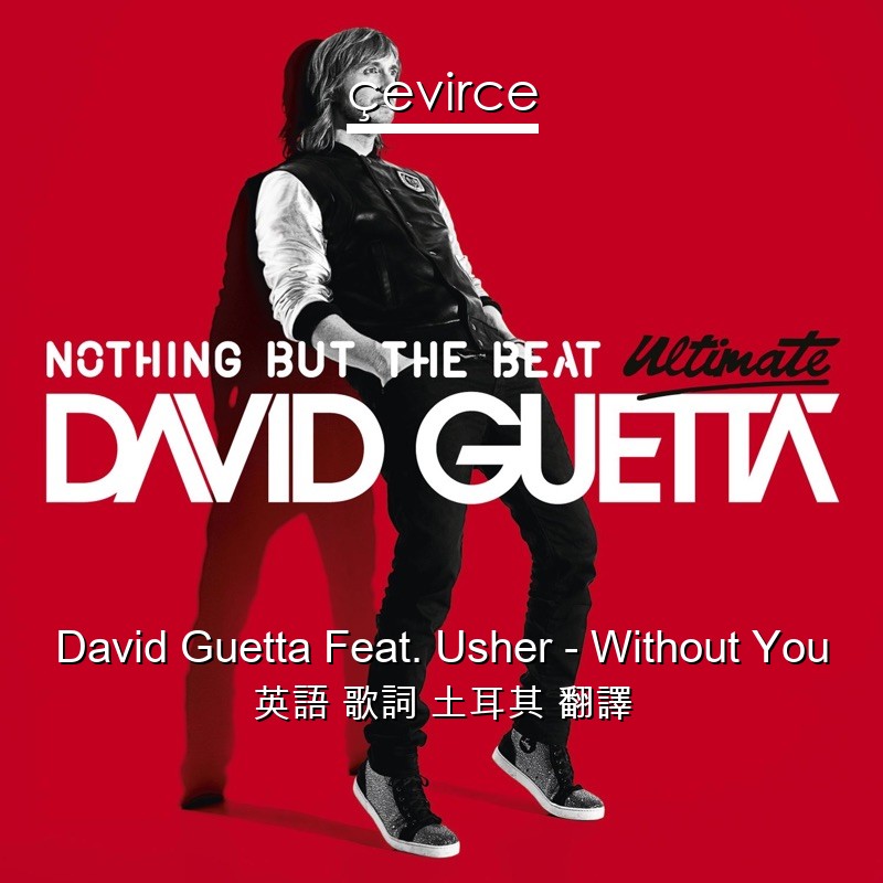 David Guetta Feat. Usher – Without You 英語 歌詞 土耳其 翻譯