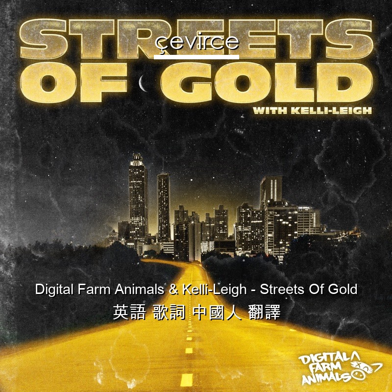 Digital Farm Animals & Kelli-Leigh – Streets Of Gold 英語 歌詞 中國人 翻譯