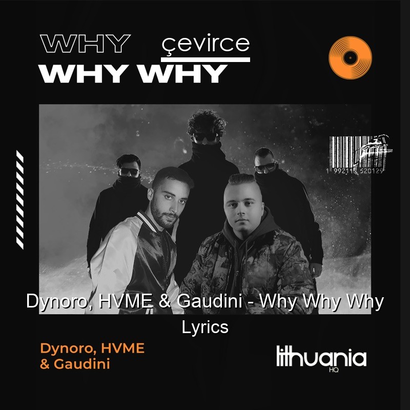 Dynoro, HVME & Gaudini – Why Why Why Lyrics