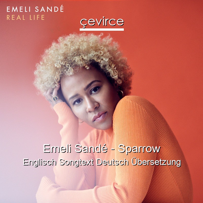 Emeli Sandé – Sparrow Englisch Songtext Deutsch Übersetzung