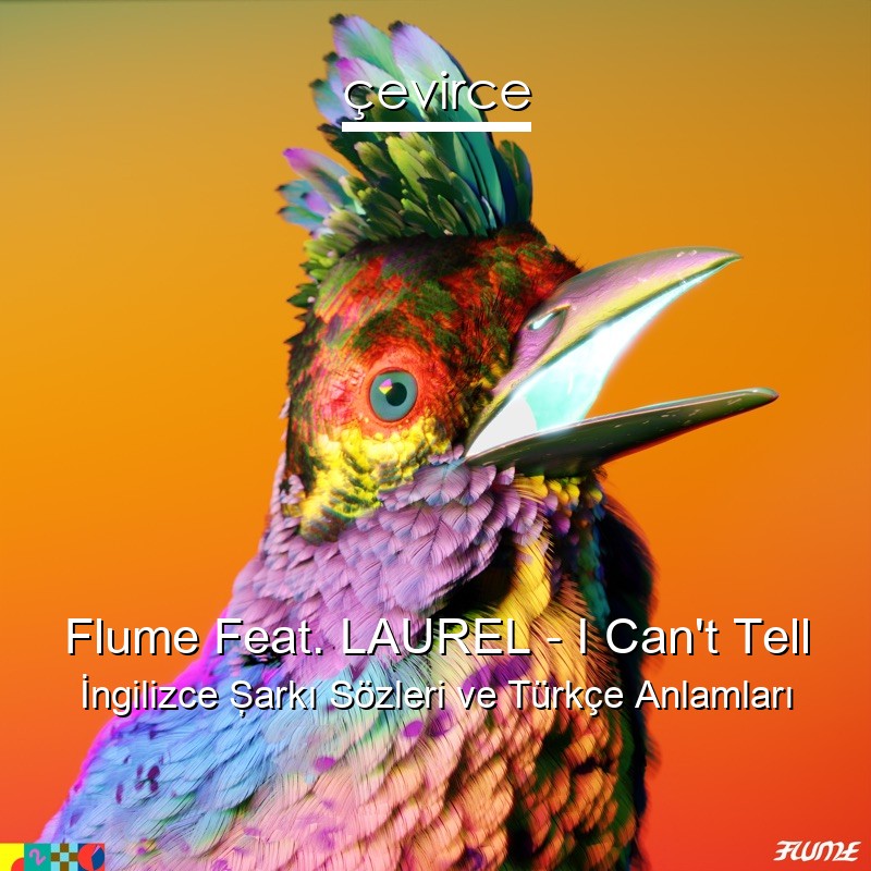 Flume Feat. LAUREL – I Can’t Tell İngilizce Şarkı Sözleri Türkçe Anlamları