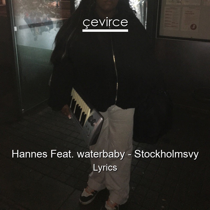 Hannes Feat. waterbaby – Stockholmsvy Lyrics