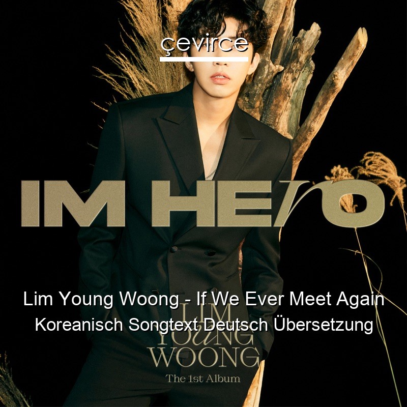 Lim Young Woong – If We Ever Meet Again Koreanisch Songtext Deutsch Übersetzung