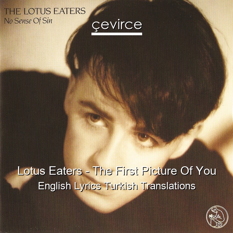 Lotus Eaters – The First Picture Of You English Lyrics Turkish Translations