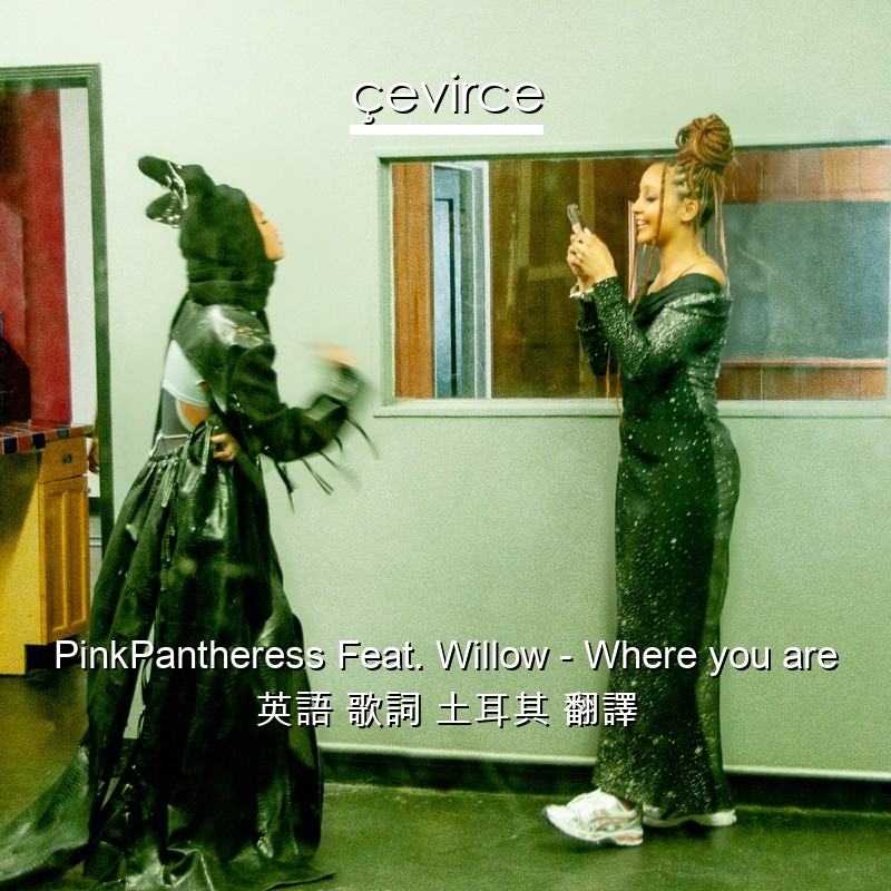 PinkPantheress Feat. Willow – Where you are 英語 歌詞 土耳其 翻譯