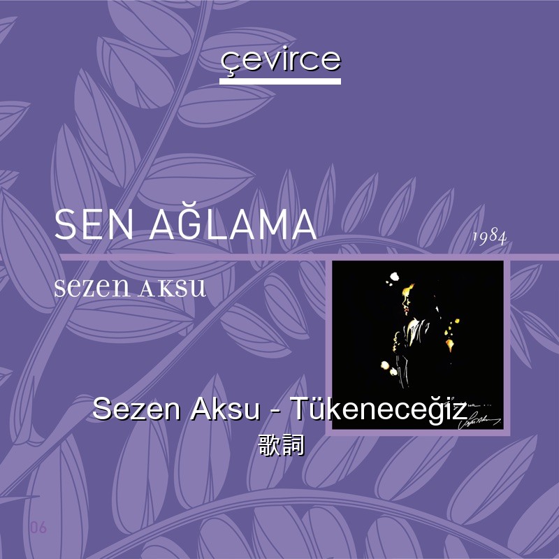 Sezen Aksu – Tükeneceğiz 歌詞