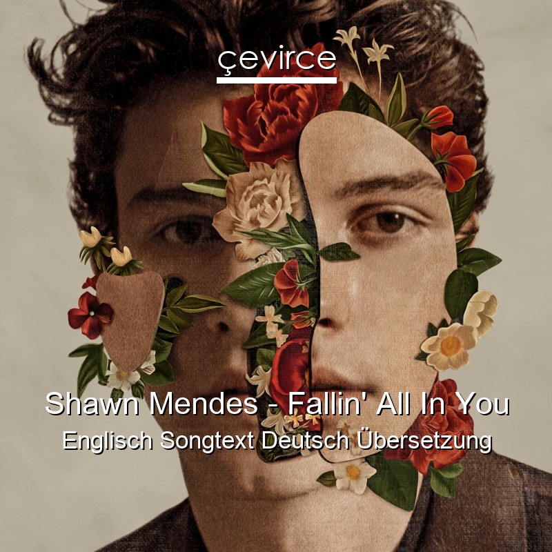 Shawn Mendes – Fallin’ All In You Englisch Songtext Deutsch Übersetzung