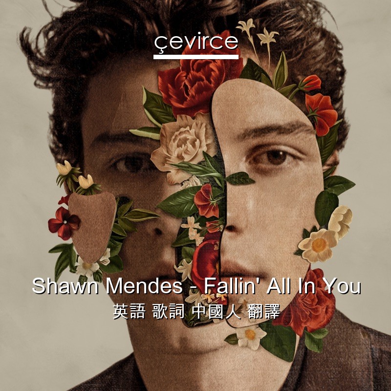 Shawn Mendes – Fallin’ All In You 英語 歌詞 中國人 翻譯