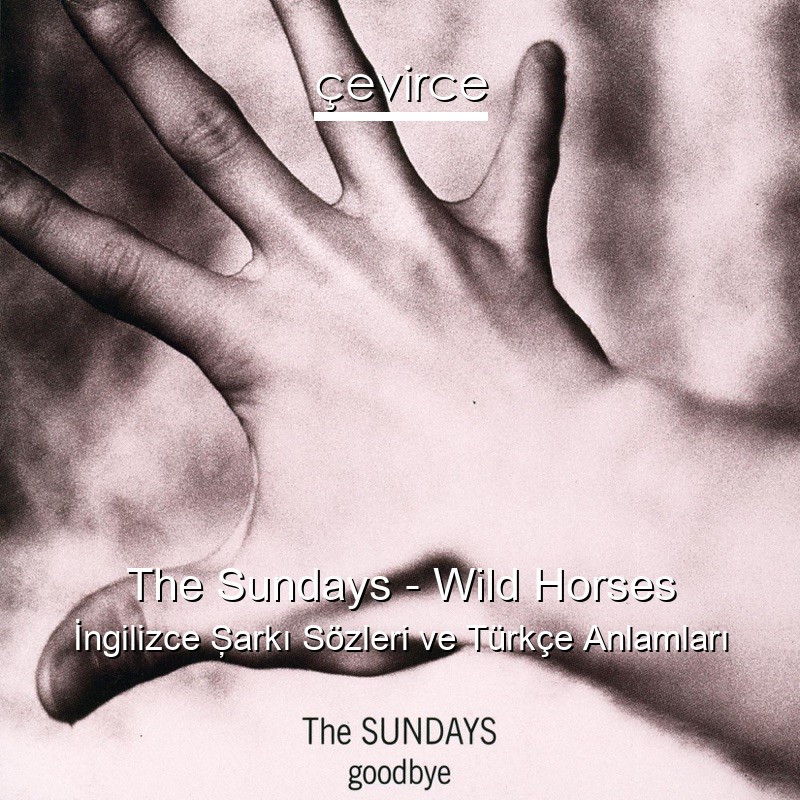 The Sundays – Wild Horses İngilizce Şarkı Sözleri Türkçe Anlamları