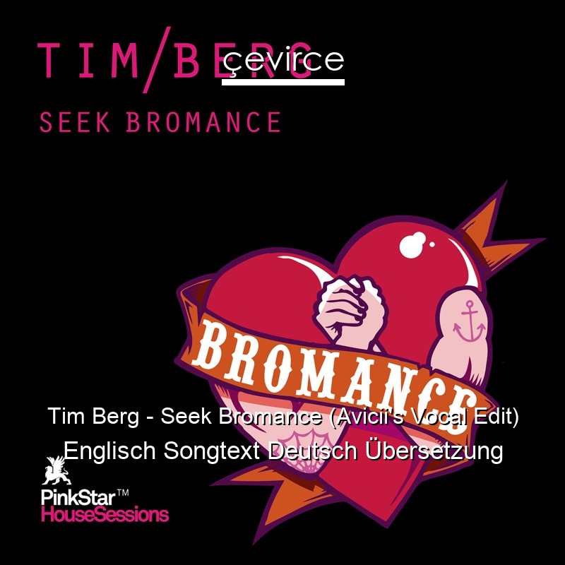 Tim Berg – Seek Bromance (Avicii’s Vocal Edit) Englisch Songtext Deutsch Übersetzung