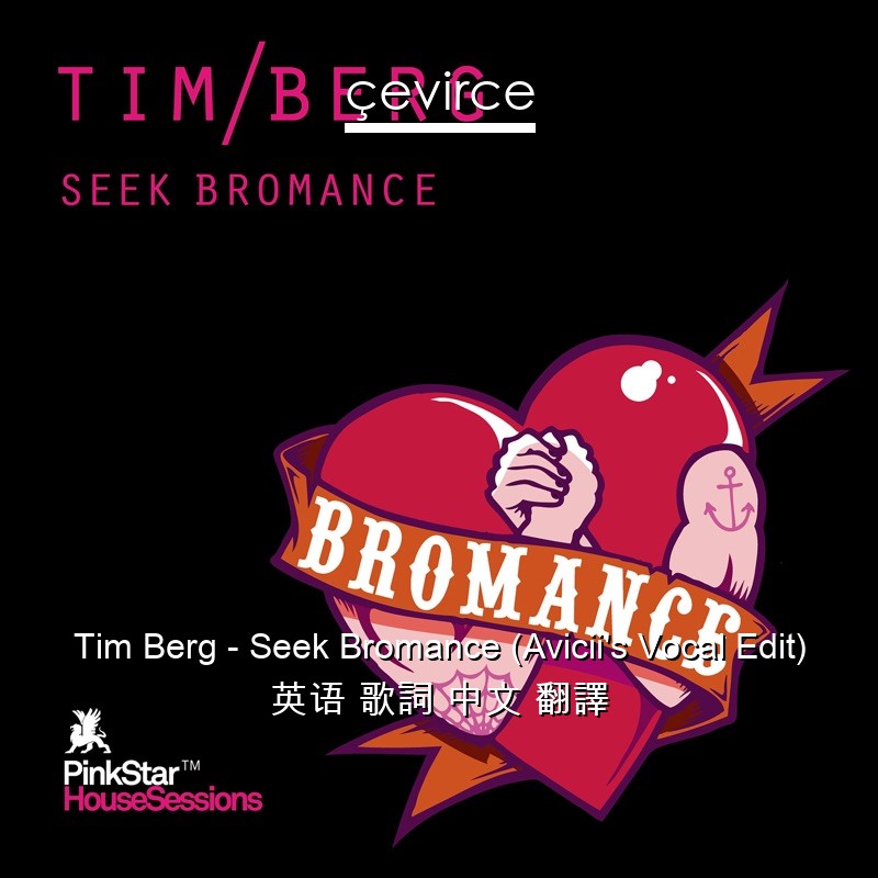 Tim Berg – Seek Bromance (Avicii’s Vocal Edit) 英语 歌詞 中文 翻譯