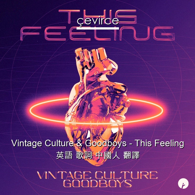 Vintage Culture & Goodboys – This Feeling 英語 歌詞 中國人 翻譯