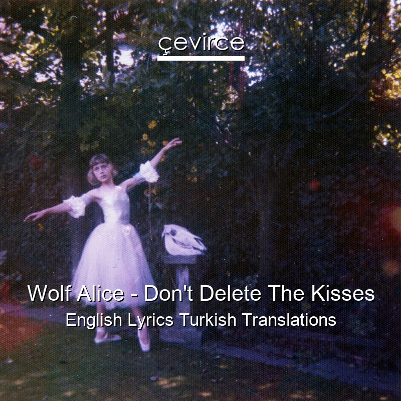 Wolf Alice – Don’t Delete The Kisses English Lyrics Turkish Translations