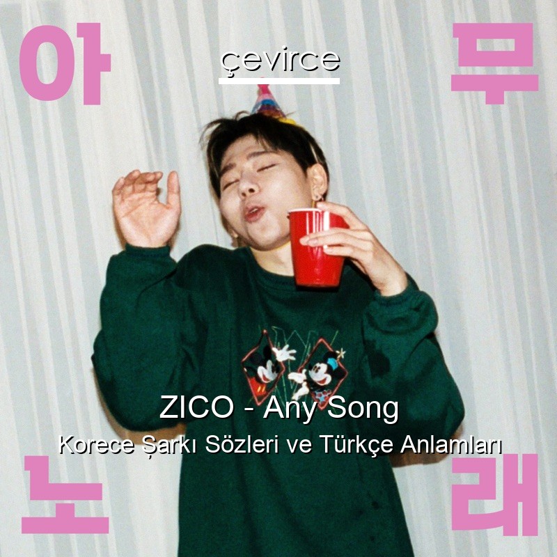 ZICO – Any Song Korece Şarkı Sözleri Türkçe Anlamları