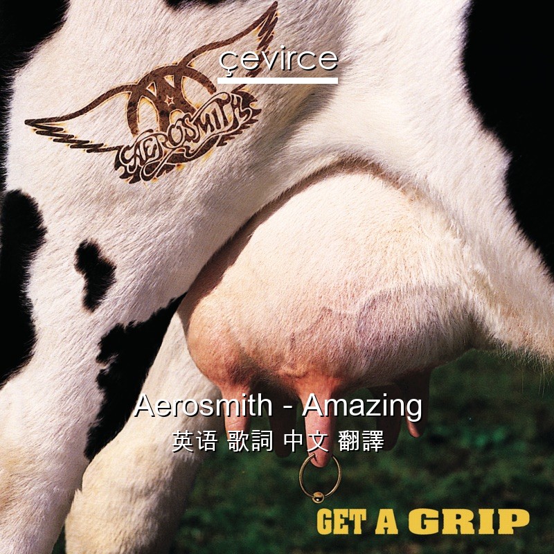 Aerosmith – Amazing 英语 歌詞 中文 翻譯