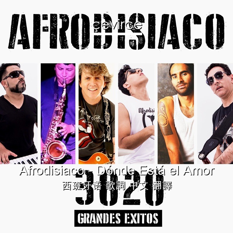 Afrodisiaco – Dónde Está el Amor 西班牙语 歌詞 中文 翻譯