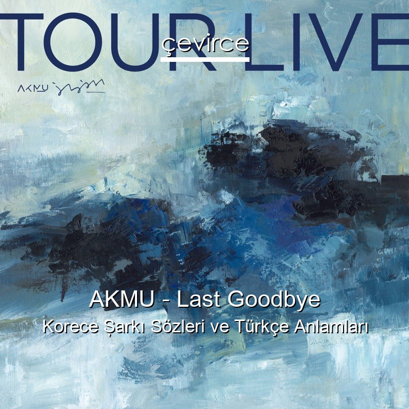 AKMU – Last Goodbye Korece Şarkı Sözleri Türkçe Anlamları