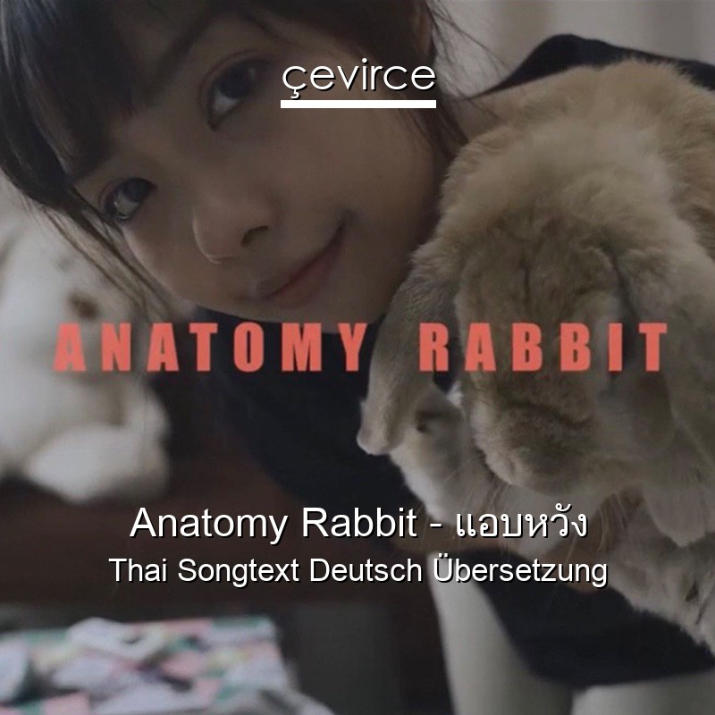 Anatomy Rabbit – แอบหวัง Thai Songtext Deutsch Übersetzung