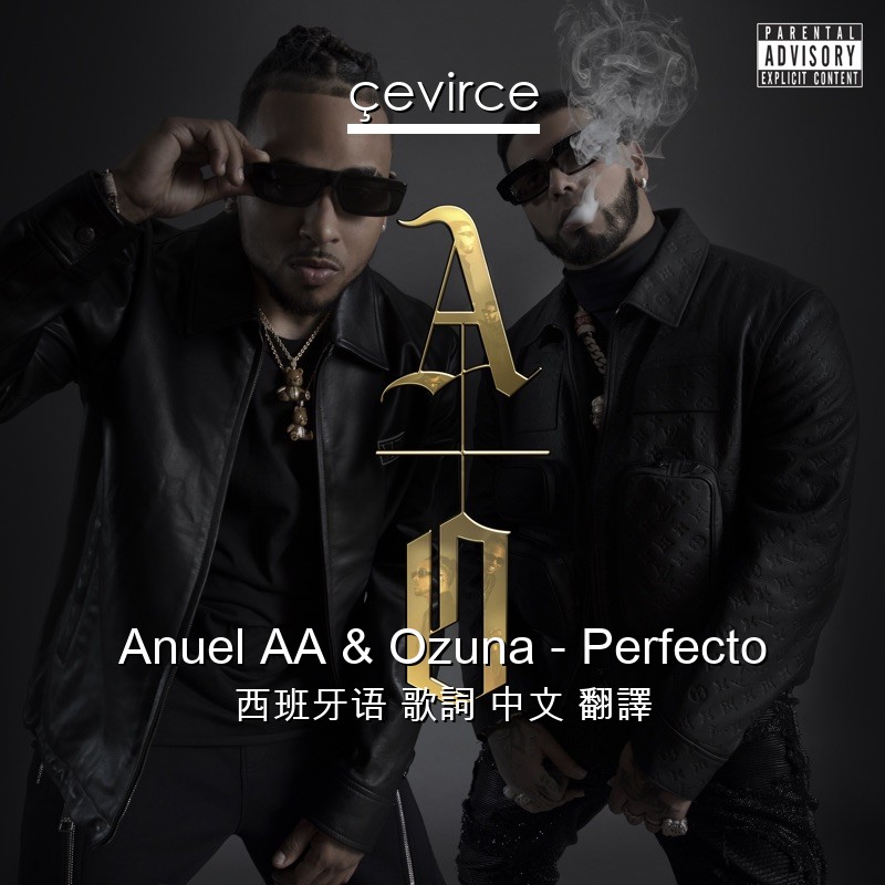 Anuel AA & Ozuna – Perfecto 西班牙语 歌詞 中文 翻譯