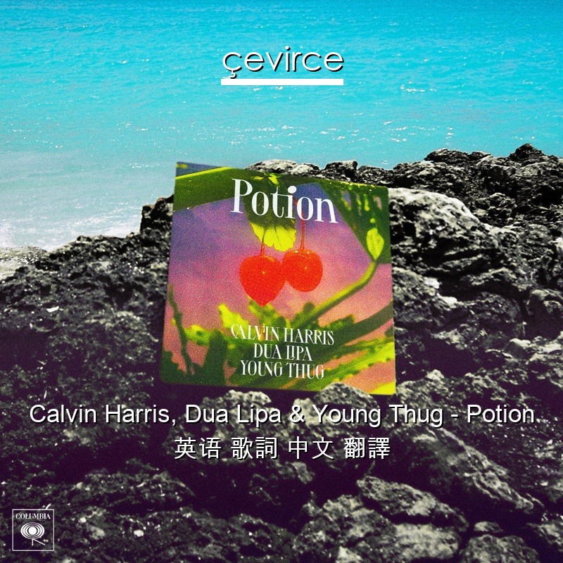 Calvin Harris, Dua Lipa & Young Thug – Potion 英语 歌詞 中文 翻譯