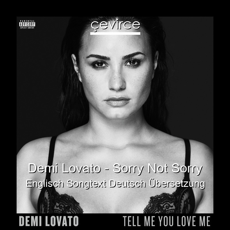 Demi Lovato – Sorry Not Sorry Englisch Songtext Deutsch Übersetzung