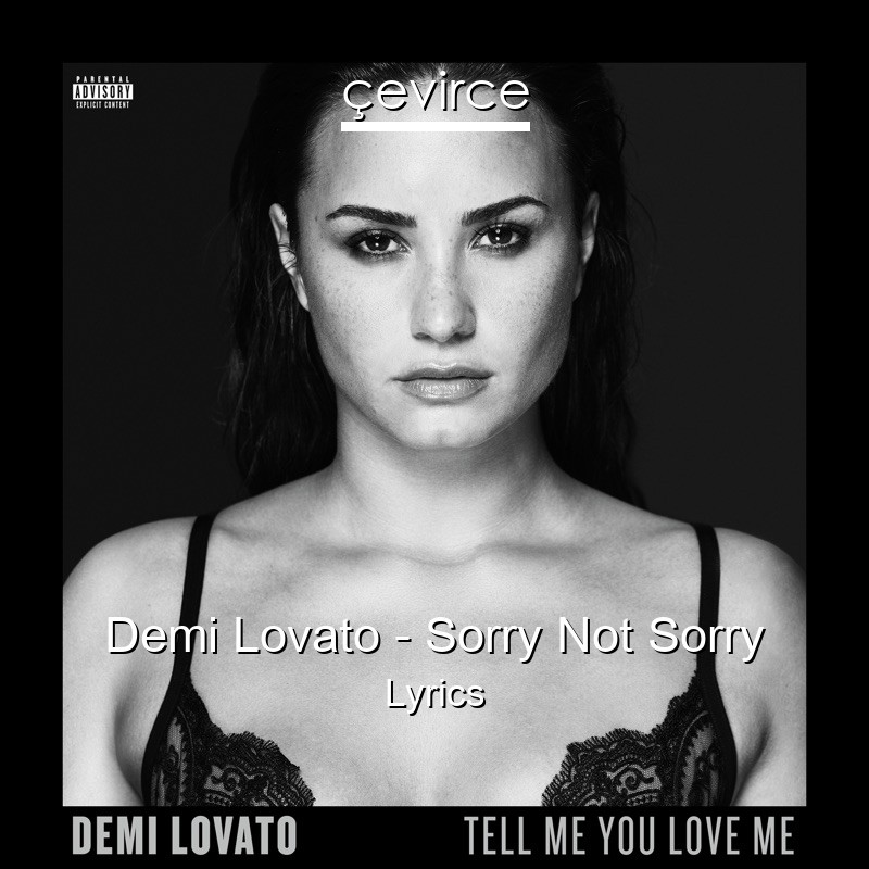 Demi Lovato – Sorry Not Sorry Lyrics