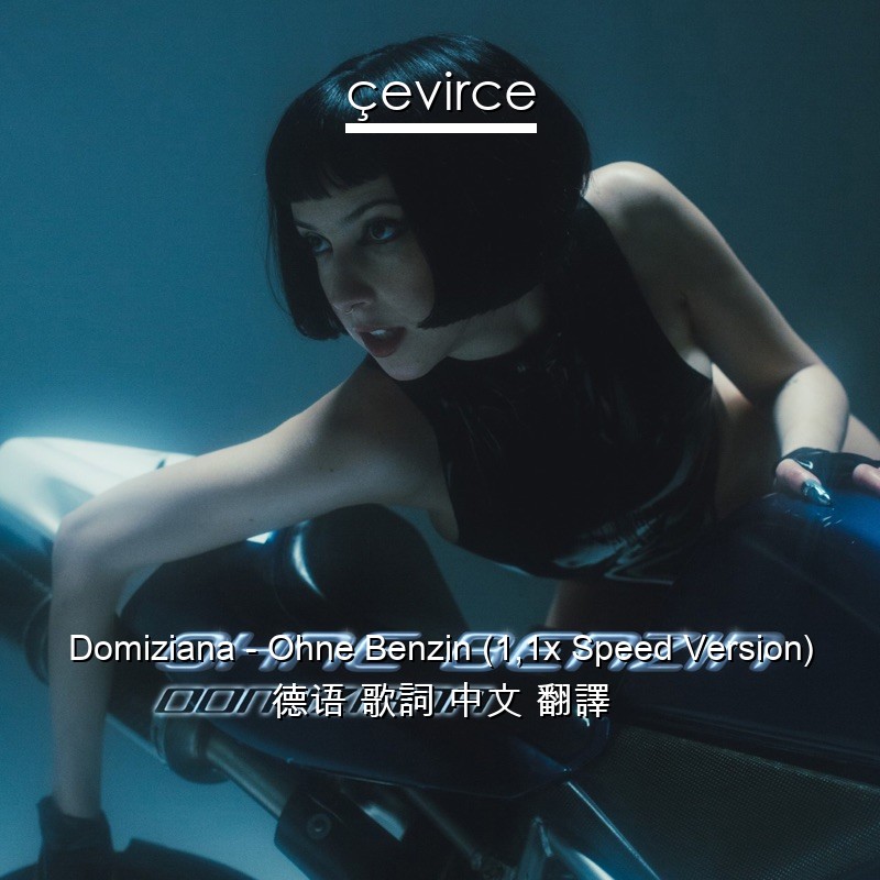 Domiziana – Ohne Benzin (1,1x Speed Version) 德语 歌詞 中文 翻譯