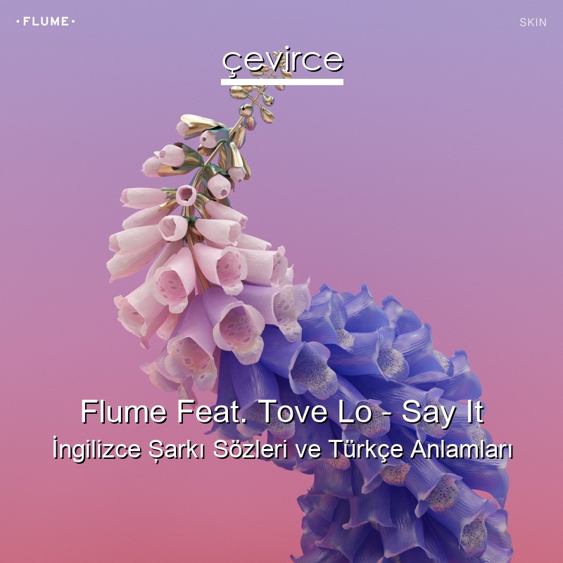 Flume Feat. Tove Lo – Say It İngilizce Şarkı Sözleri Türkçe Anlamları