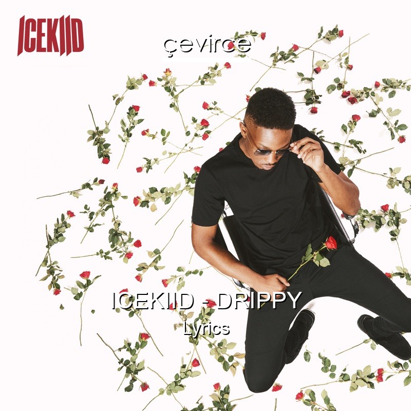 ICEKIID – DRIPPY Lyrics