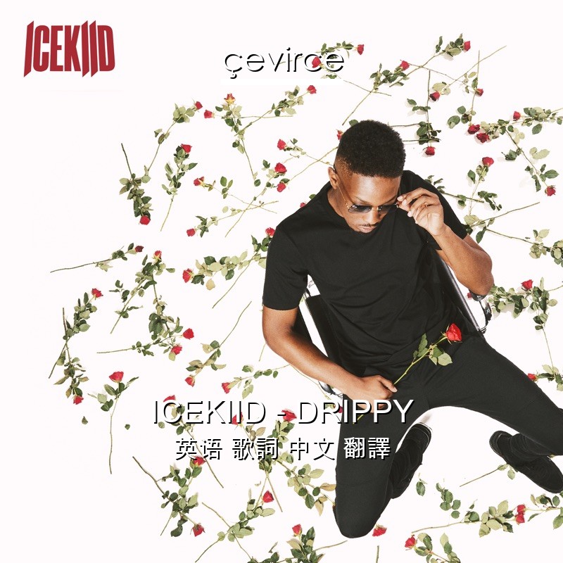 ICEKIID – DRIPPY 英语 歌詞 中文 翻譯