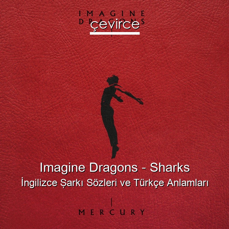 Imagine Dragons – Sharks İngilizce Şarkı Sözleri Türkçe Anlamları