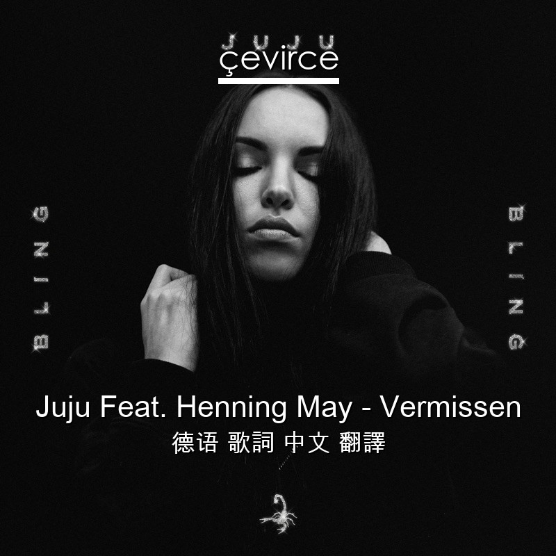 Juju Feat. Henning May – Vermissen 德语 歌詞 中文 翻譯