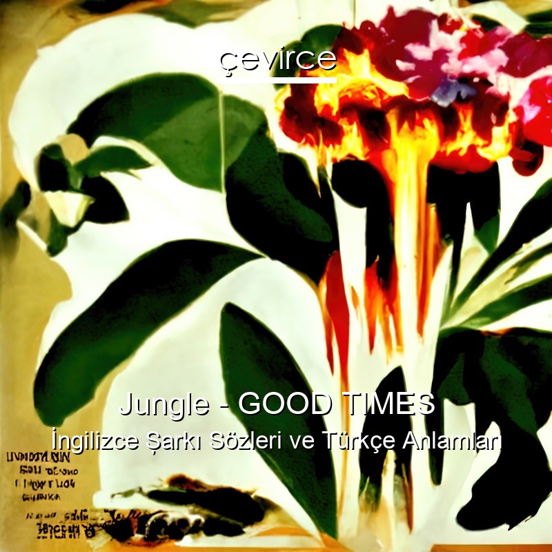 Jungle – GOOD TIMES İngilizce Şarkı Sözleri Türkçe Anlamları