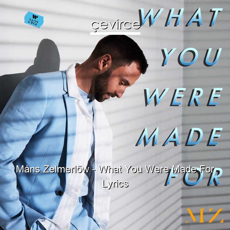 Måns Zelmerlöw – What You Were Made For Lyrics