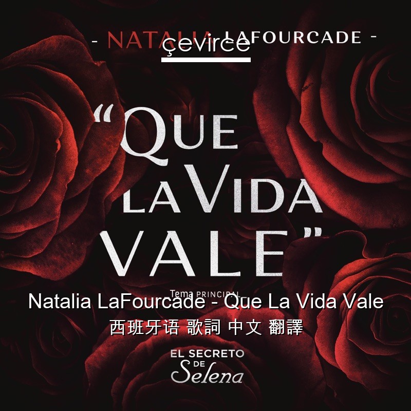 Natalia LaFourcade – Que La Vida Vale 西班牙语 歌詞 中文 翻譯