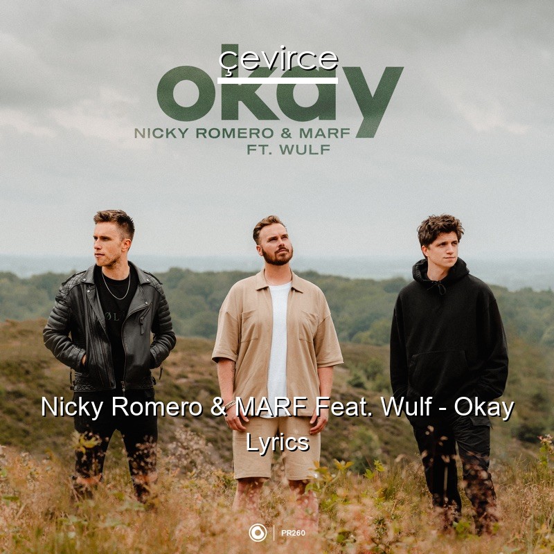 Nicky Romero & MARF Feat. Wulf – Okay Lyrics