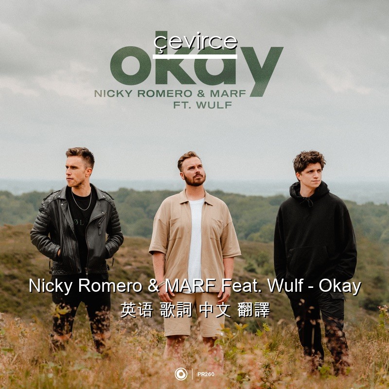 Nicky Romero & MARF Feat. Wulf – Okay 英语 歌詞 中文 翻譯