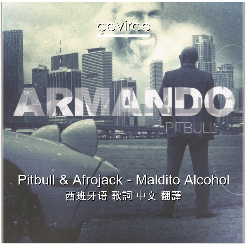 Pitbull & Afrojack – Maldito Alcohol 西班牙语 歌詞 中文 翻譯