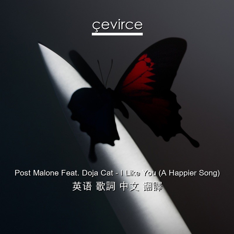 Post Malone Feat. Doja Cat – I Like You (A Happier Song) 英语 歌詞 中文 翻譯